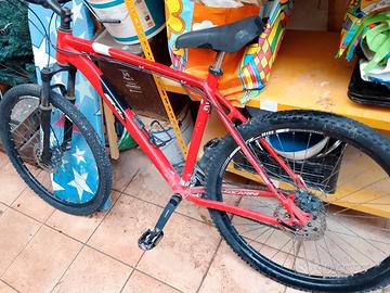 Mountain bike da trekking