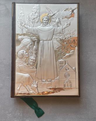 I fioretti di san Francesco. Vangelo IX edizione