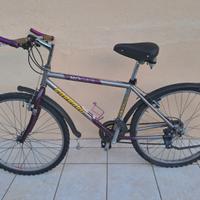 Mountain bike viola