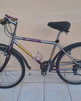 Mountain bike viola