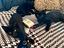 Immagine 1