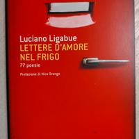 Lettere d'amore nel frigo 