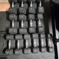 Manubri Esagonali Technogym