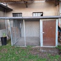 box cane coibentato