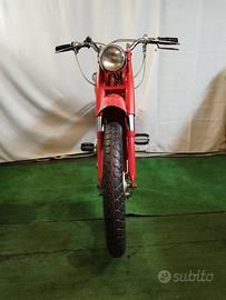 motom 48