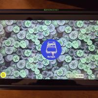 ATOMOS Moniteur SHINOBI 5'