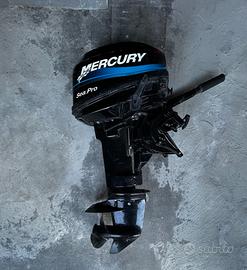 Mercury 10 m sea pro 8cv