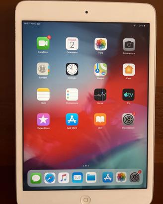 iPad mini 2