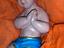Immagine 1