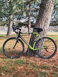 bici cannondale team Liquigas 