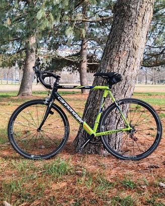 bici cannondale team Liquigas 