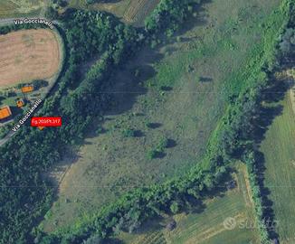 Immobile in asta di 70081 m² con 1 locale a Imola