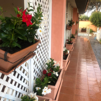 Villa indipendente con piscina