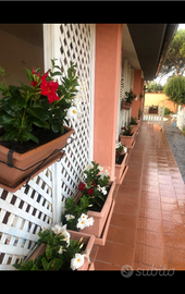 Villa indipendente con piscina