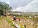 ter-agricolo-a-livorno