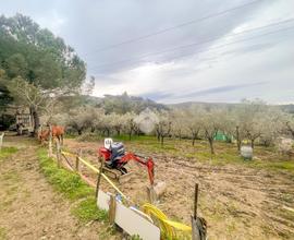 TER. AGRICOLO A LIVORNO