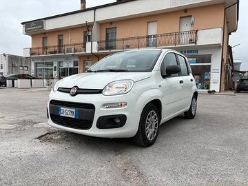 Fiat Panda 1.2 Easy UNICOPROPRIETARIO
