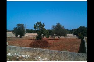 Terreno adiacente paese