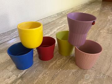 Vasi piante