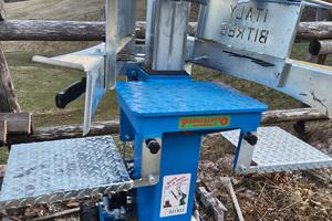 Spaccalegna verticale