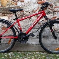 Bicicletta Bambino/a