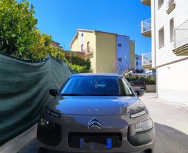 C4 cactus 1.2 live 75