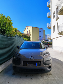 C4 cactus 1.2 live 75