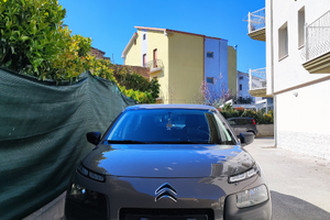 C4 cactus 1.2 live 75