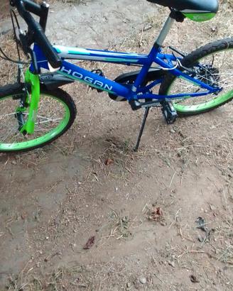bicicletta