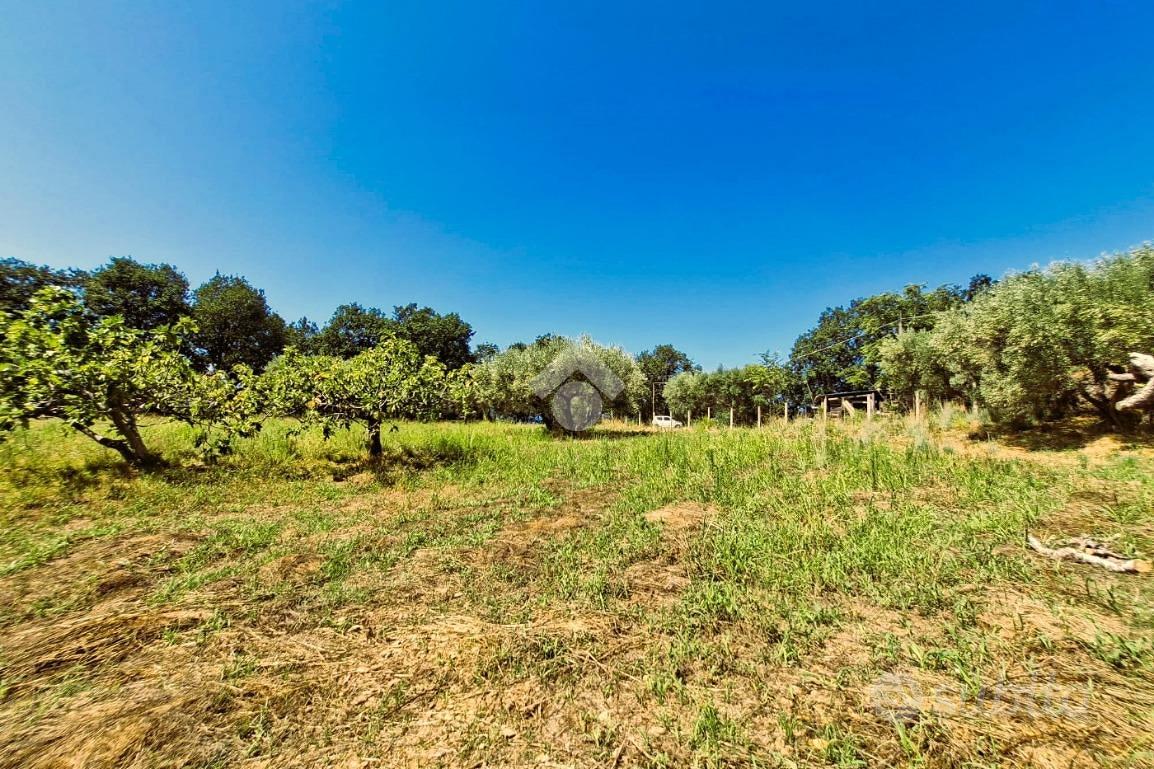 TER. AGRICOLO A PAOLA - Vista 5