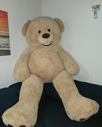 orso peluche gigante 2,40 M