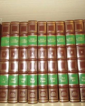 Enciclopedia de agostini 22 volumi