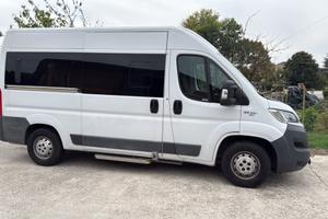 Scolabus