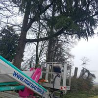 Giardinaggio e legna da ardere 