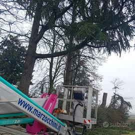 Giardinaggio e legna da ardere 