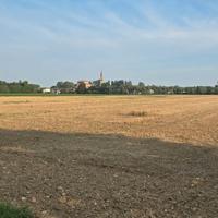Terreno agricolo