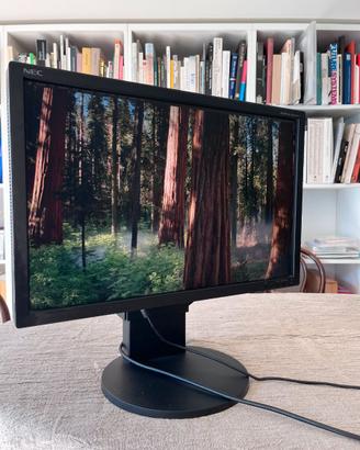 Monitor 24" NEC MultiSync EA241WM (1920x1200