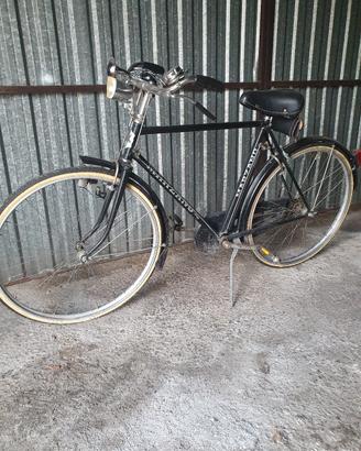 Bicicletta Marzano 