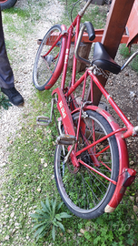 Bibici