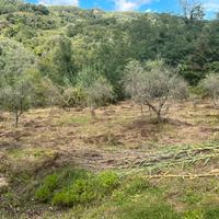 Terreno agricolo 20000 mq