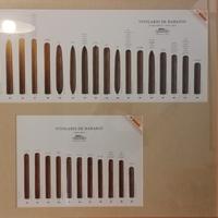 Panoramica sigari cubani