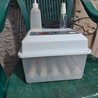 EGG ICUBATOR
