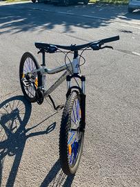 Bici california