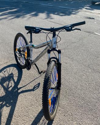 Bici california