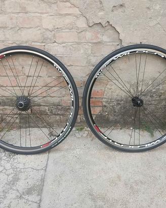 Ruote bici da corsa Pinarello Most Wildcat €120