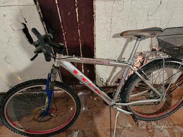 bicicletta 