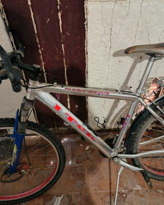 bicicletta 