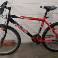 2 biciclette di montagna 
