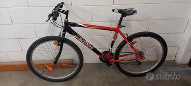 2 biciclette di montagna 