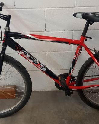 2 biciclette di montagna 